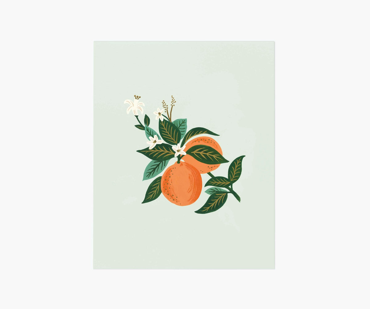 Orange Blossom Art Print