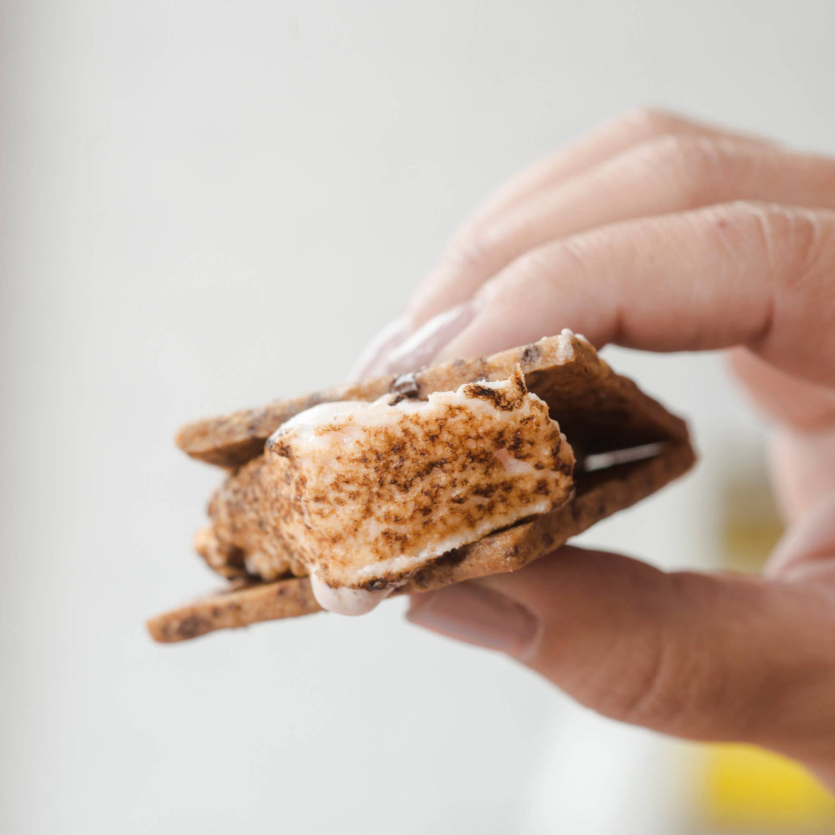 Chocolate Chip Marshmallows