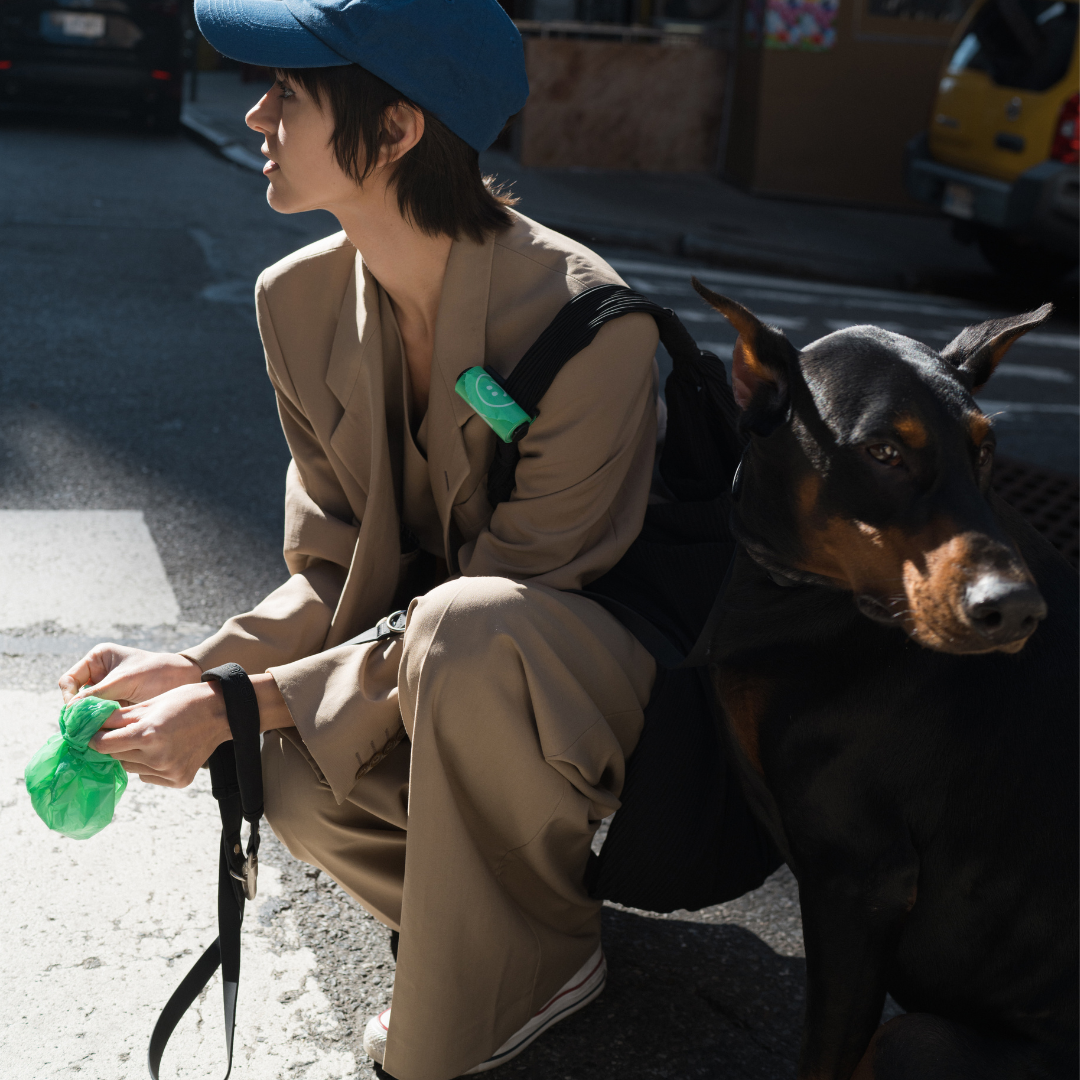 Premium Dog Poop Waste Bags - Single Rolls (50 Pack)