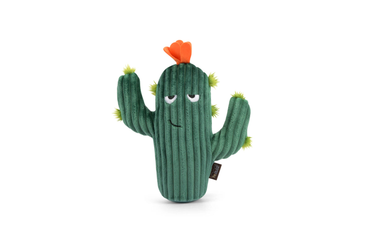 Blooming Buddies Prickly Pup Cactus Dog Toy