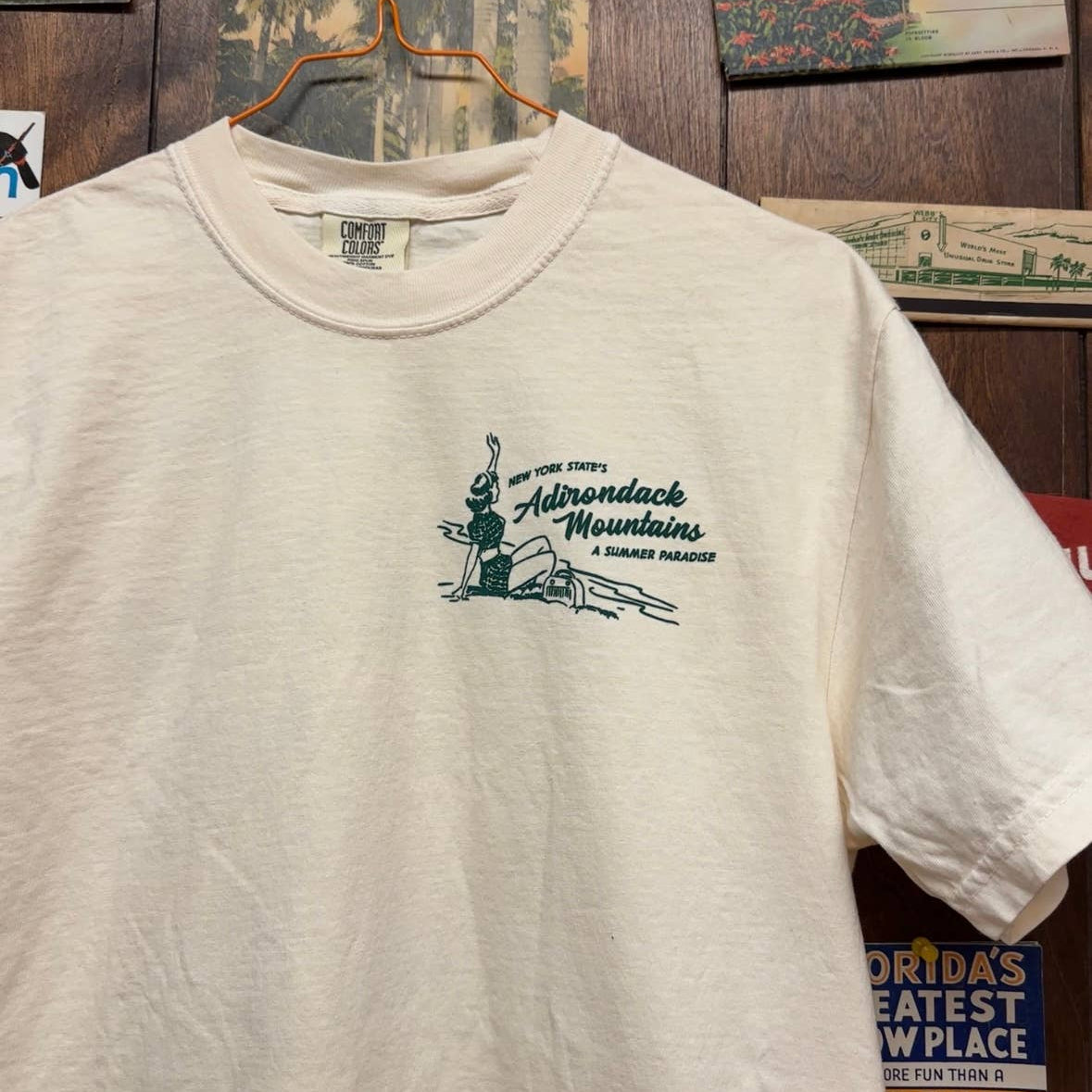 Adirondack Mountains Cabin T-Shirt