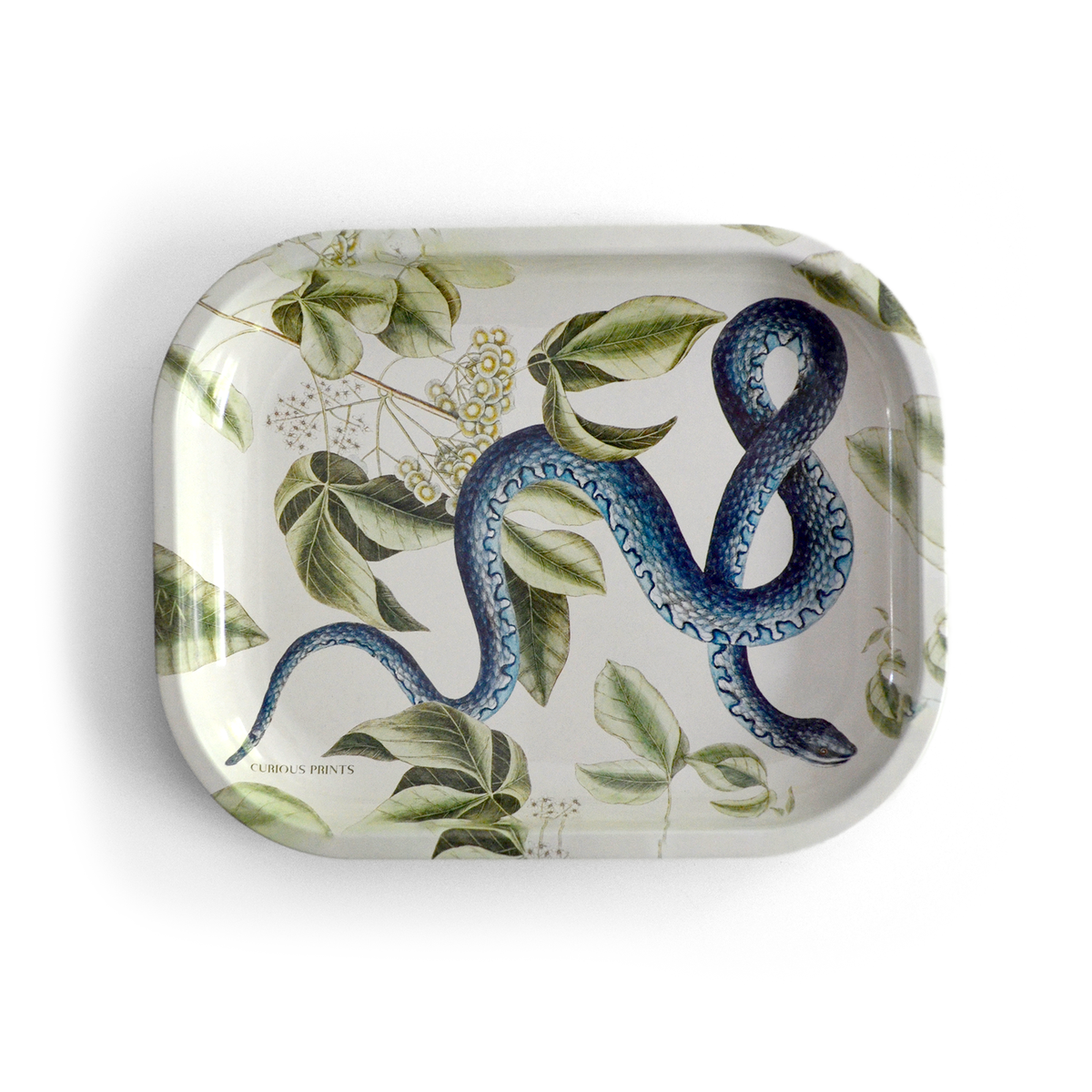 Small Metal Vintage Blue Snake Trinket Tray