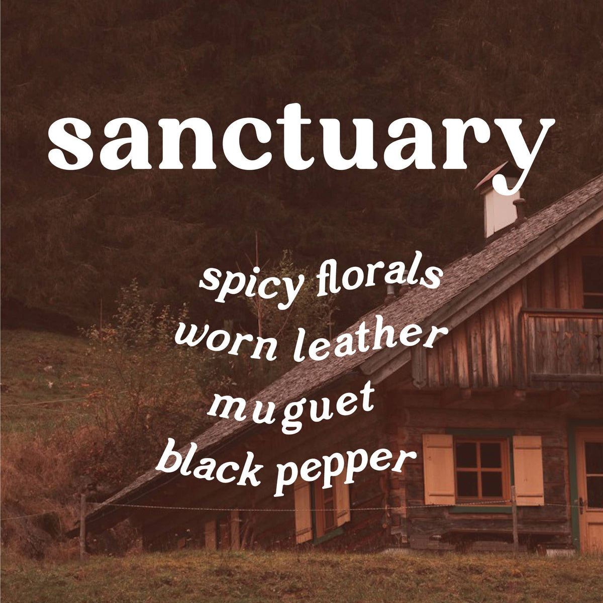 Sanctuary 4 oz. Hue Reed Diffuser (Leather + Incense)