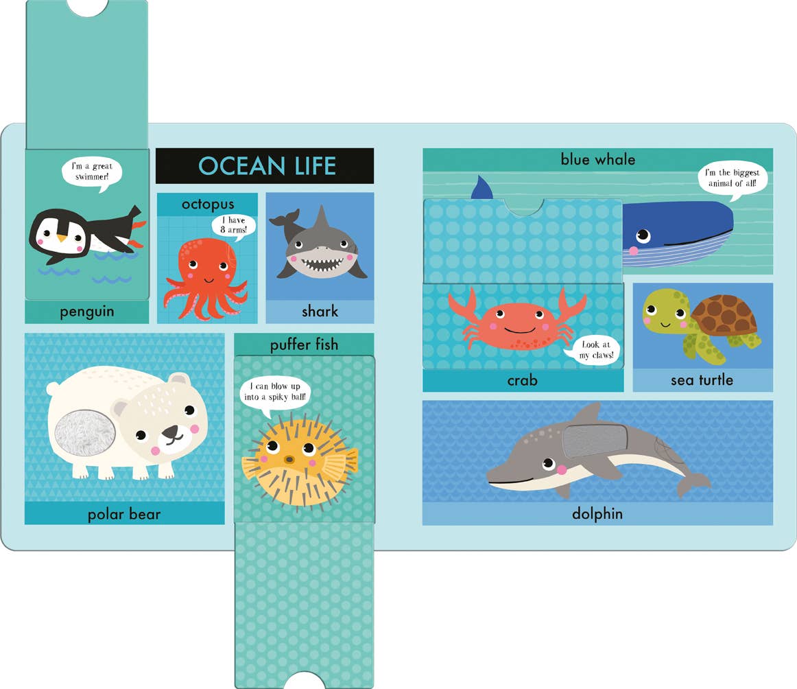 Lift Touch and Learn First Words: Animals