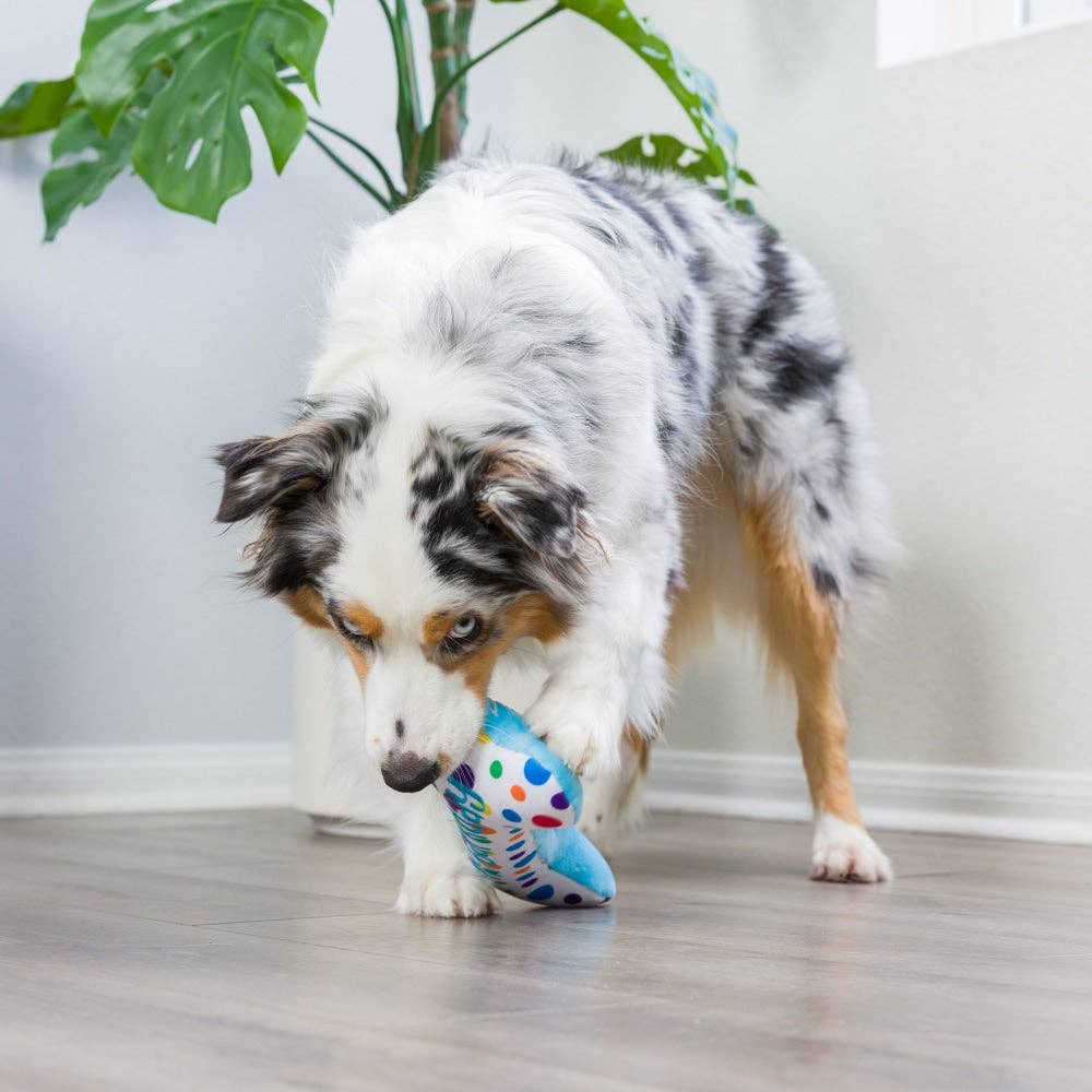 It&#39;s My Barkday Bone Dog Toy (Double Sided)