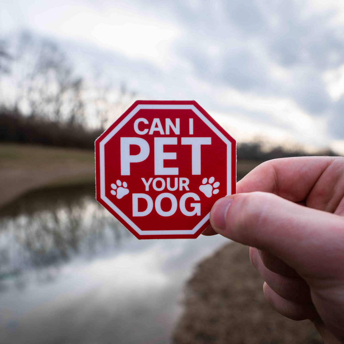 Stop Can I Pet Your Dog Sticker