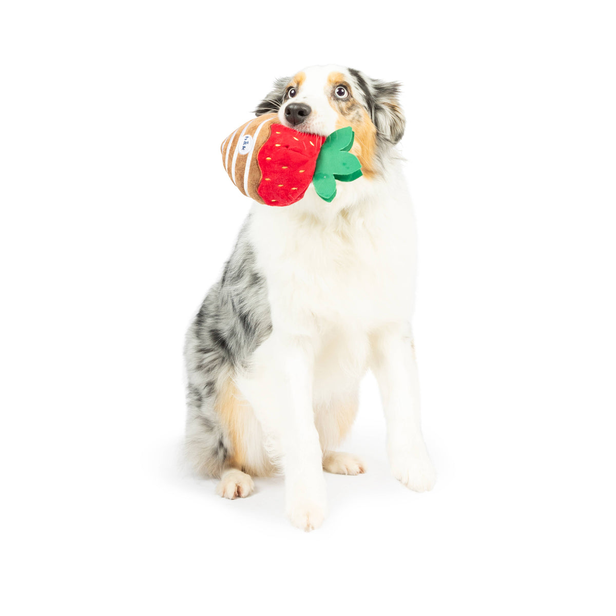 Chocolate Strawberry Dog Toy