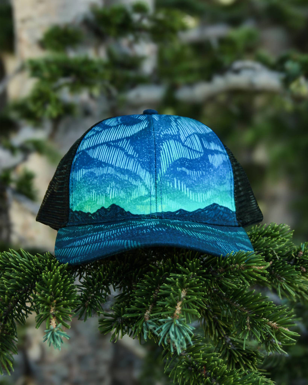 Northern Lights Trucker Hat