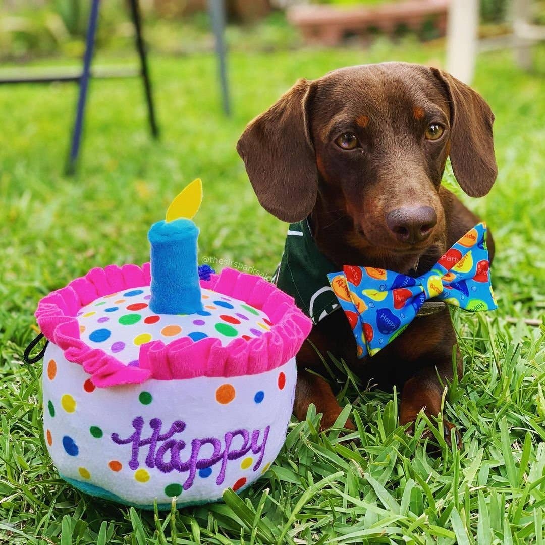 Happy Barkday Cake Dog Toy