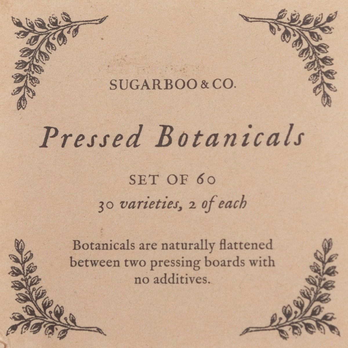 Pressed Botanical Collection