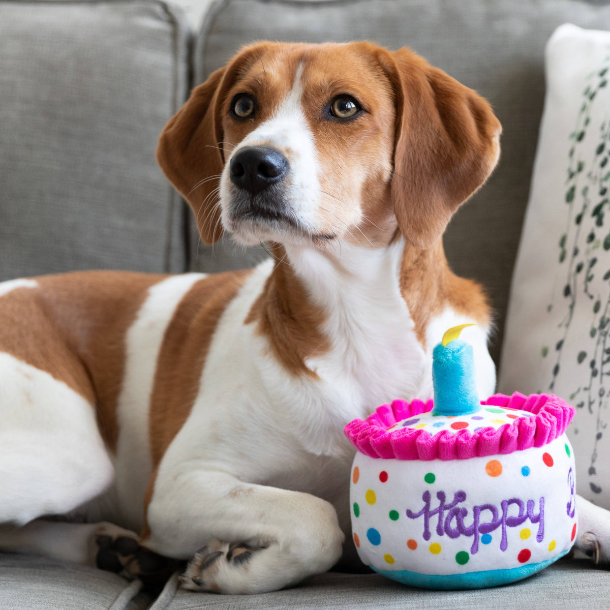 Happy Barkday Cake Dog Toy