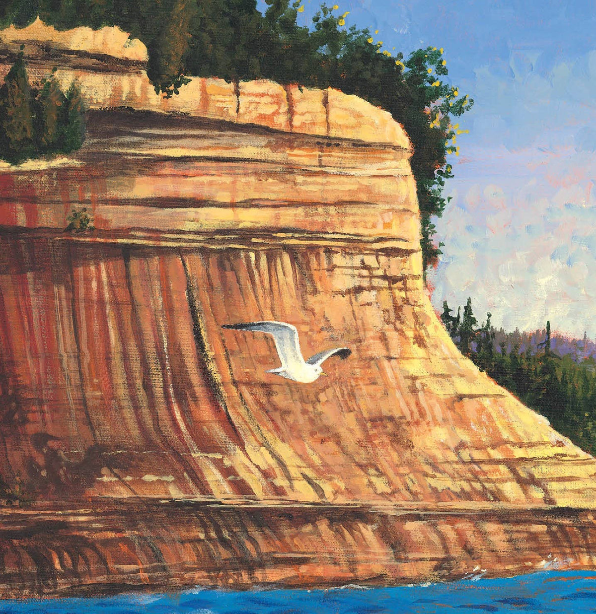 The Legend of the Loon Picture Book