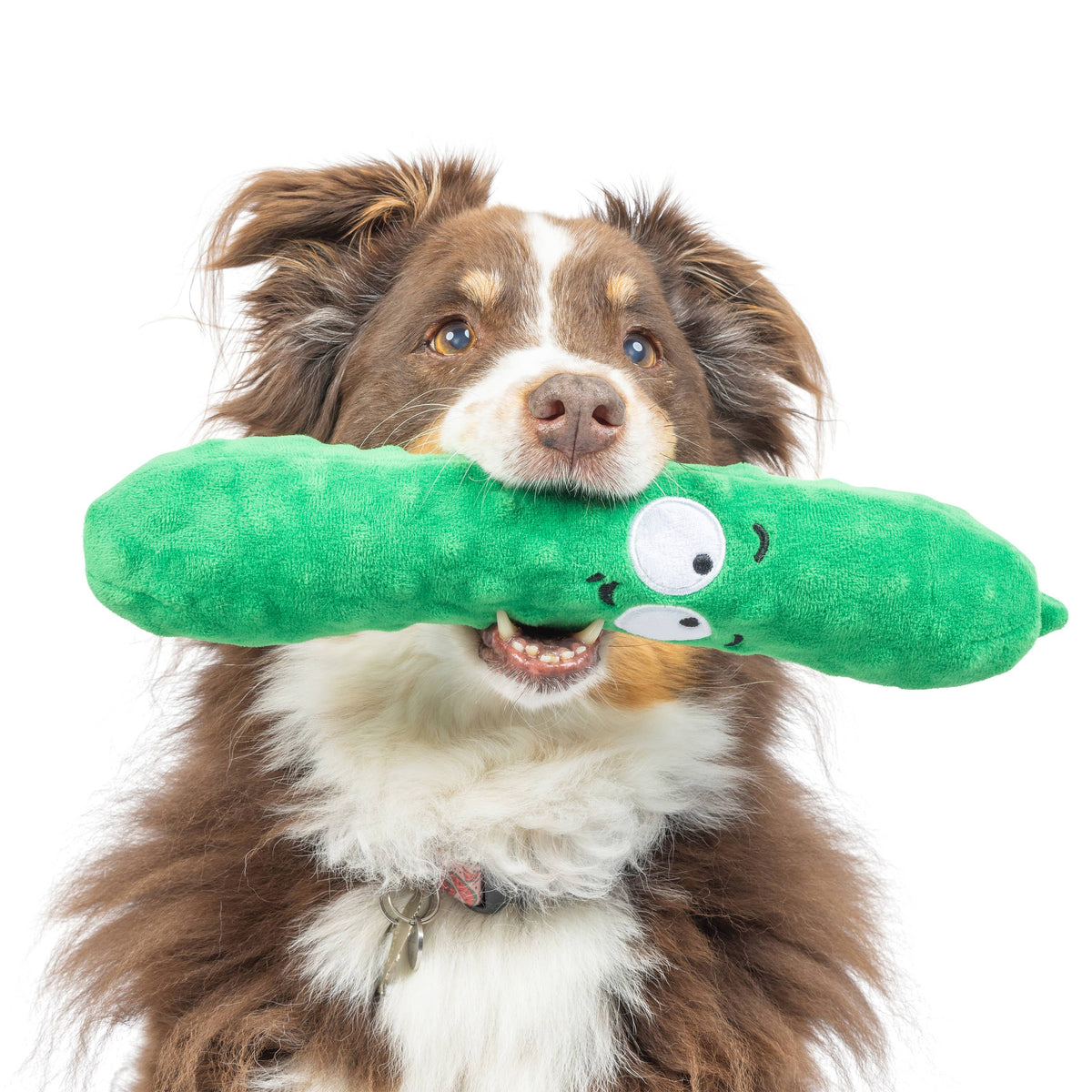 Fetchies® Dell Pickle Dog Toy