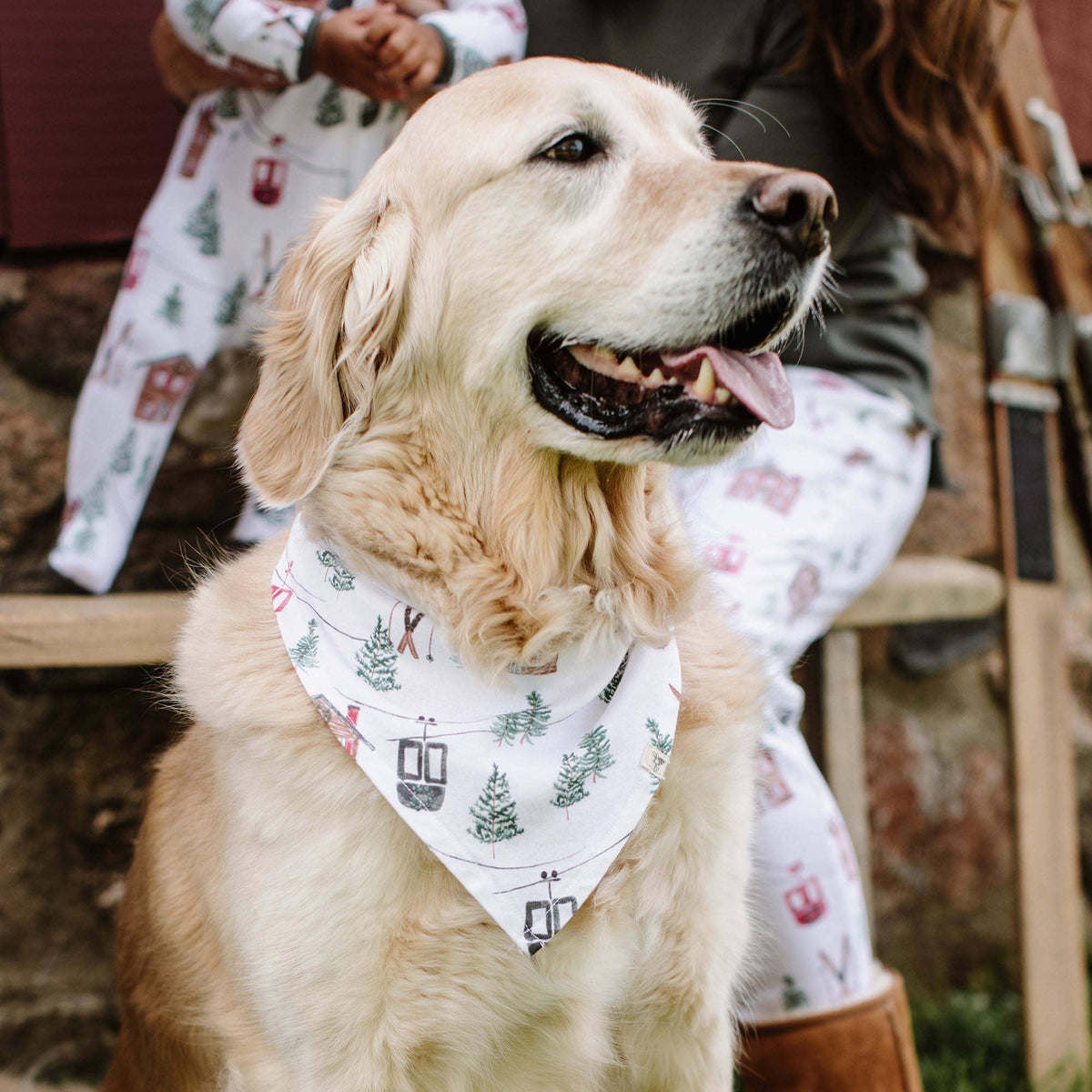 Ski The Alps Pajamas