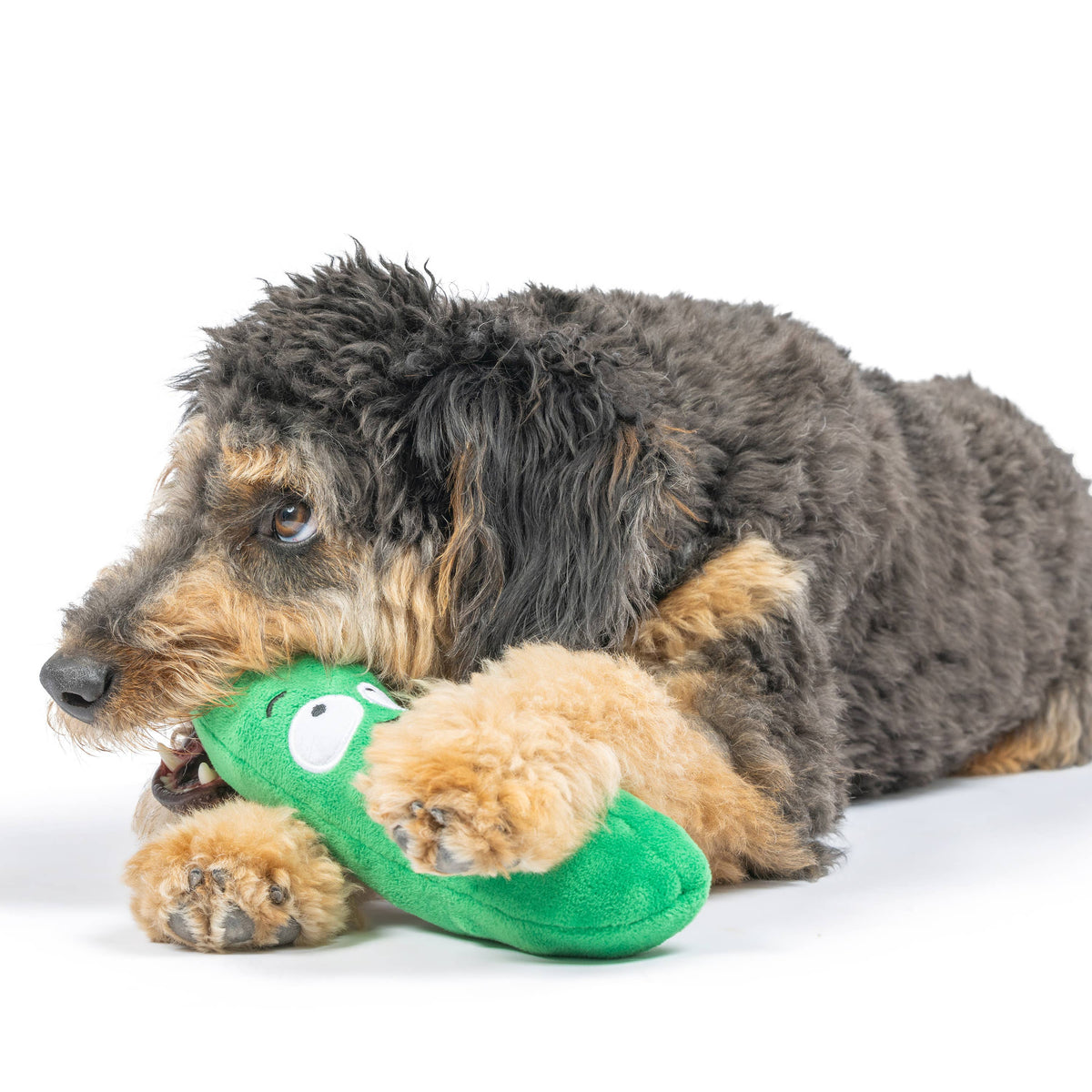 Fetchies® Dell Pickle Dog Toy