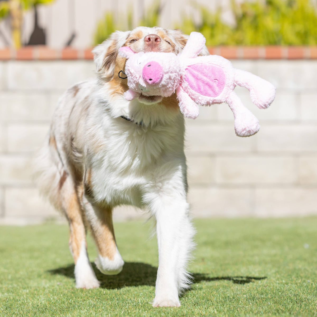 Slappies® Piggie Smalls Dog Toy