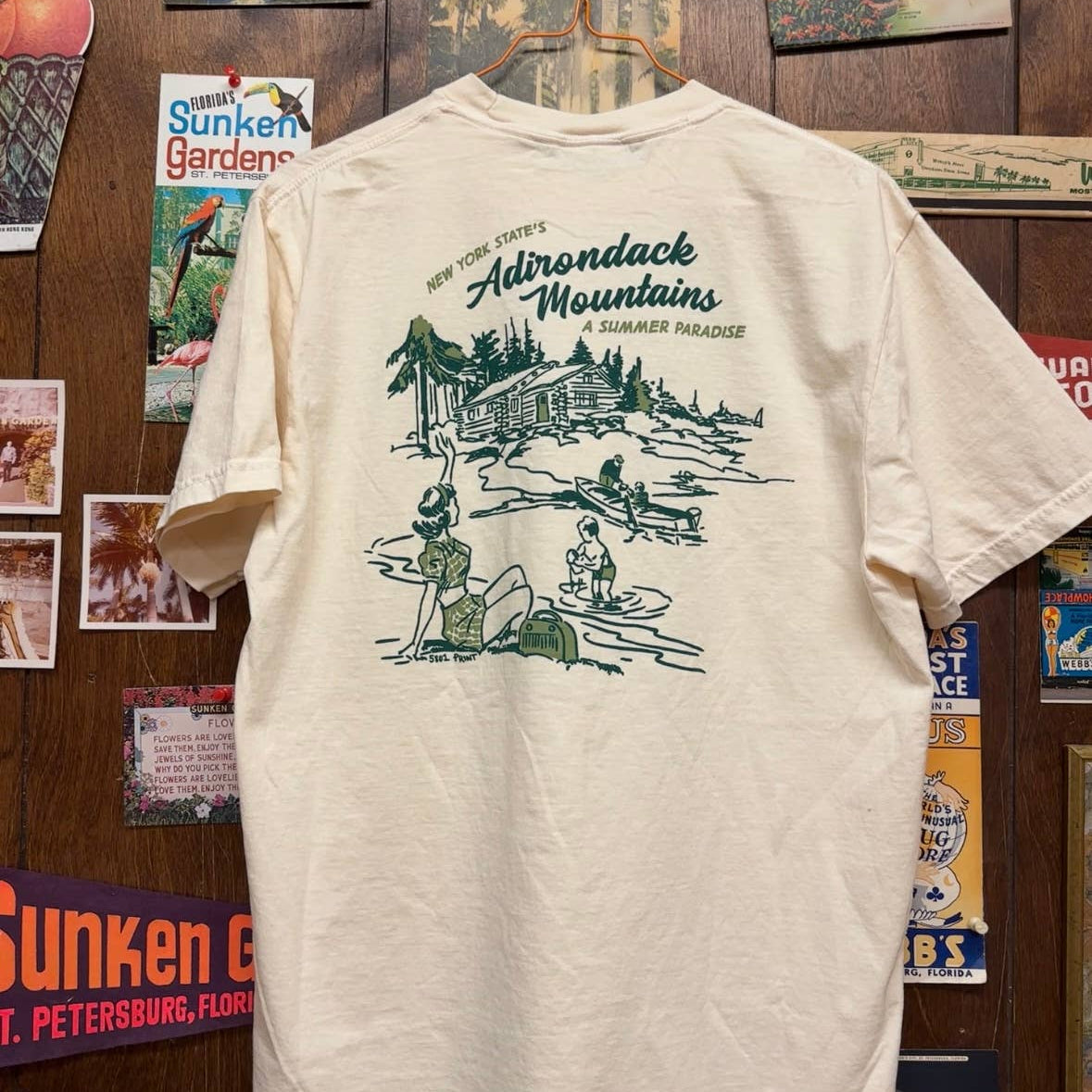 Adirondack Mountains Cabin T-Shirt
