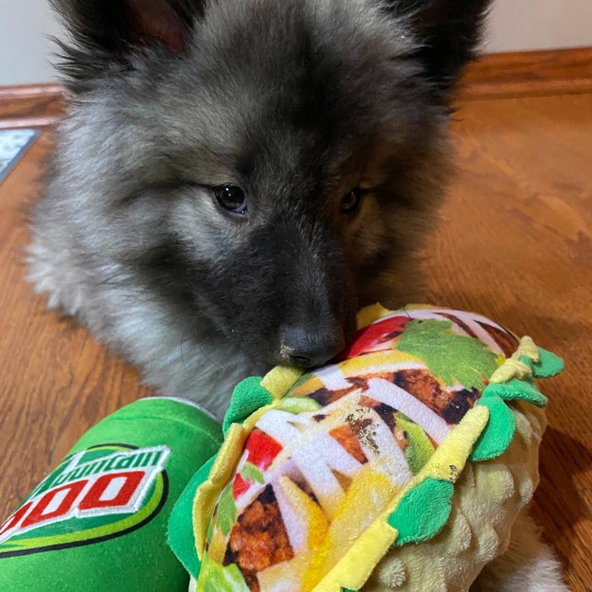 Taco Tuesday Dog Toy