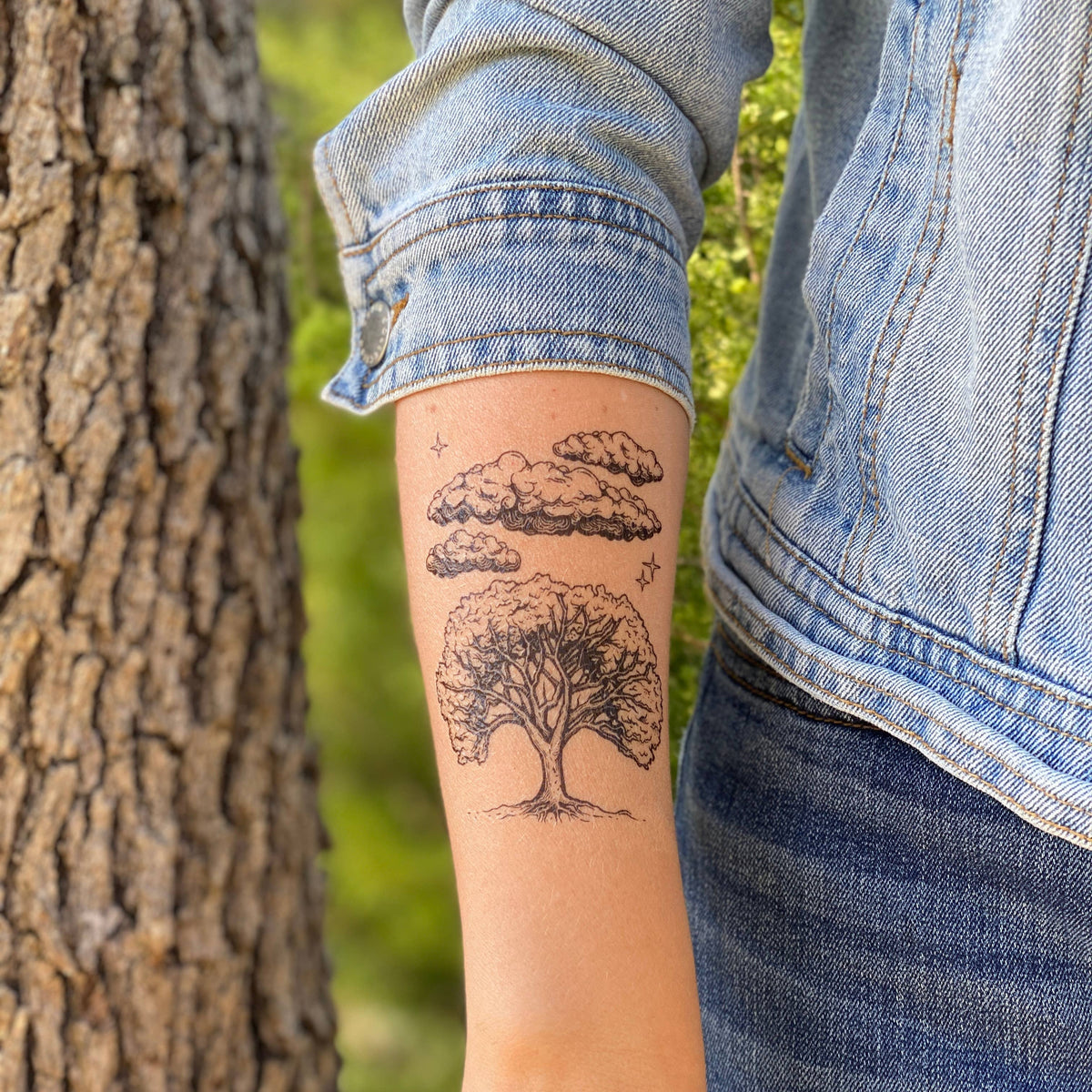 Live Oak Sky Temporary Tattoo