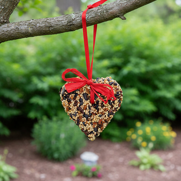 Little Heart Birdseed