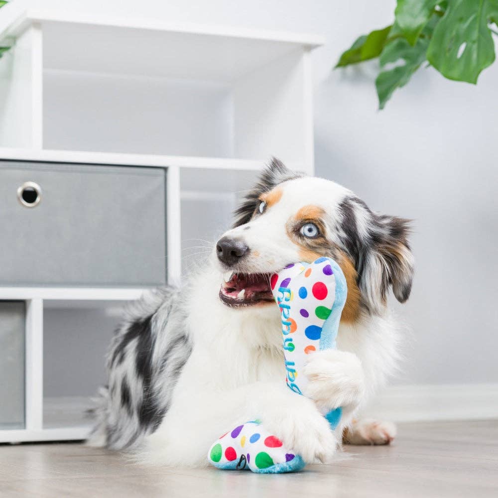 It&#39;s My Barkday Bone Dog Toy (Double Sided)