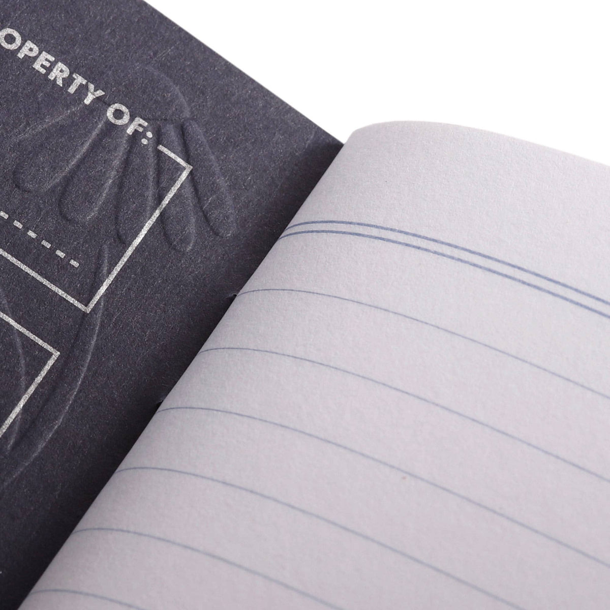 Fall Flowers 3-Pack Notebooks