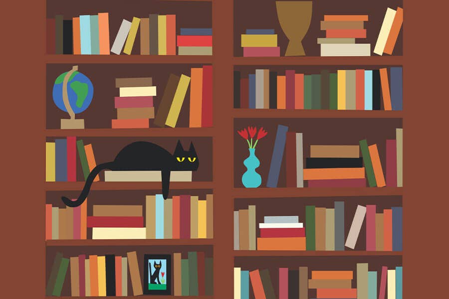 Bookcase Micro Puzzle