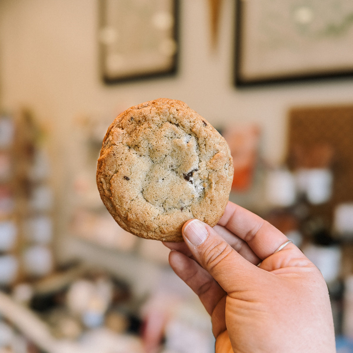 Fresh Baked Chocolate Chip Cookies