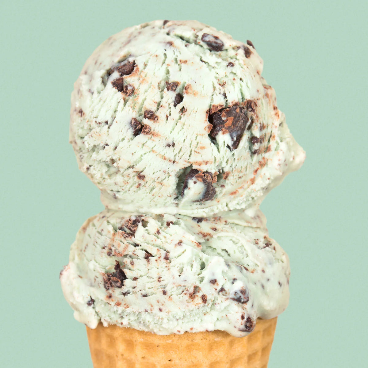 Green Mint Chip Ice Cream Pint