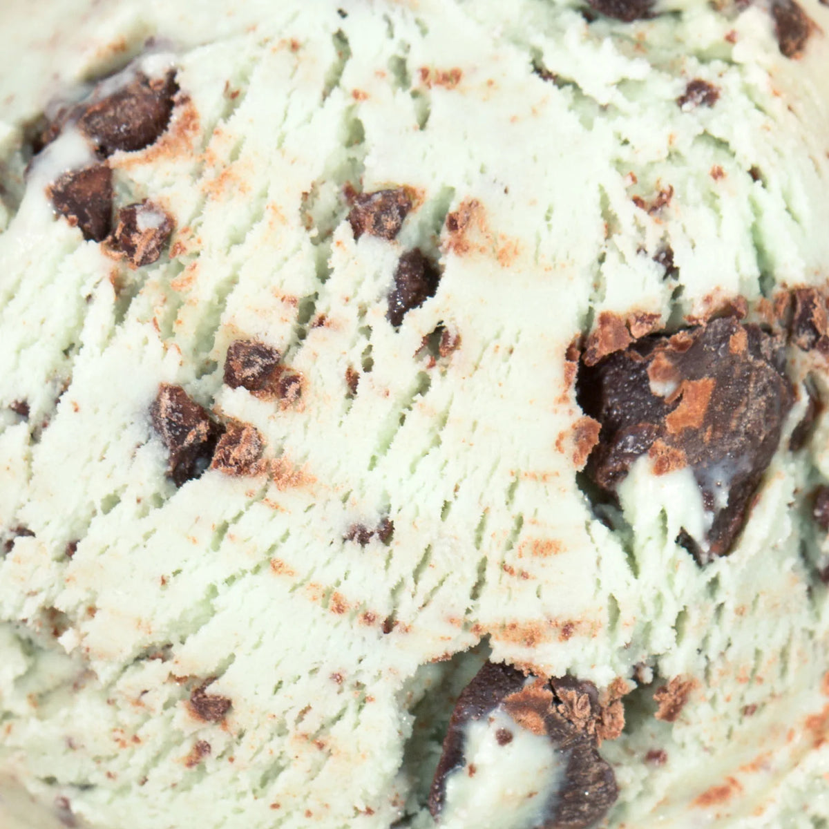 Green Mint Chip Ice Cream Pint