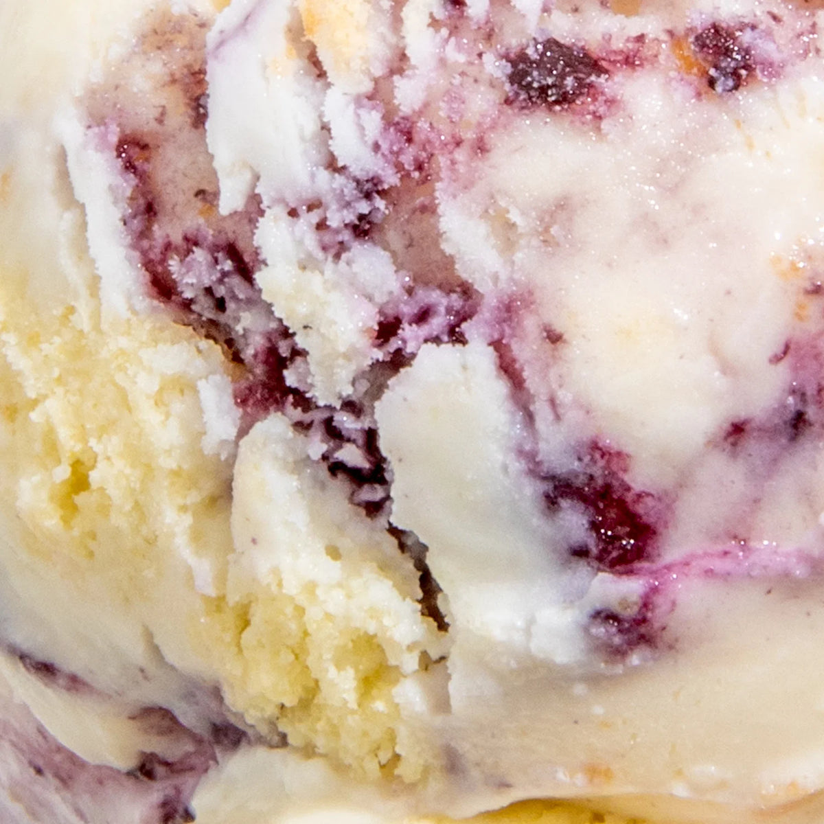 Blueberry Johnny Cakes Ice Cream Pint