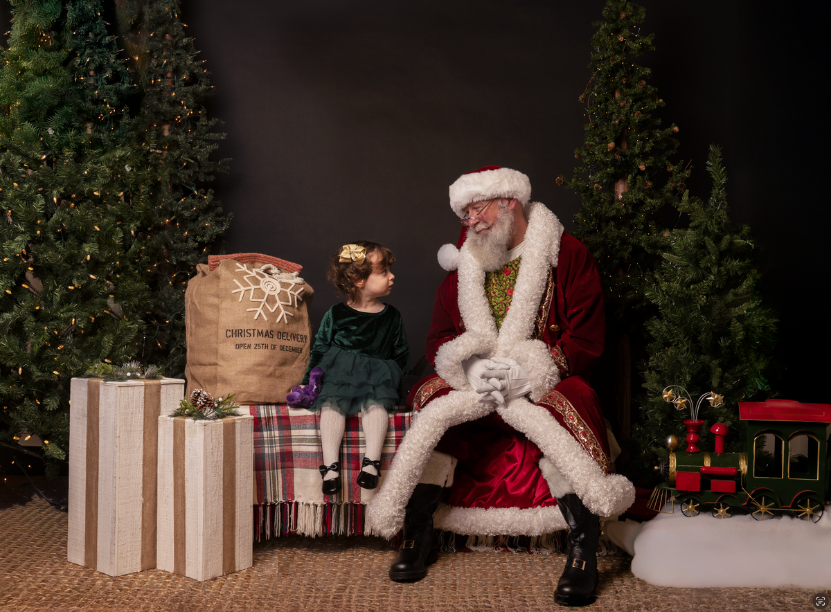 The Santa Experience