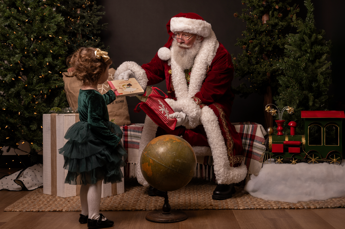 The Santa Experience