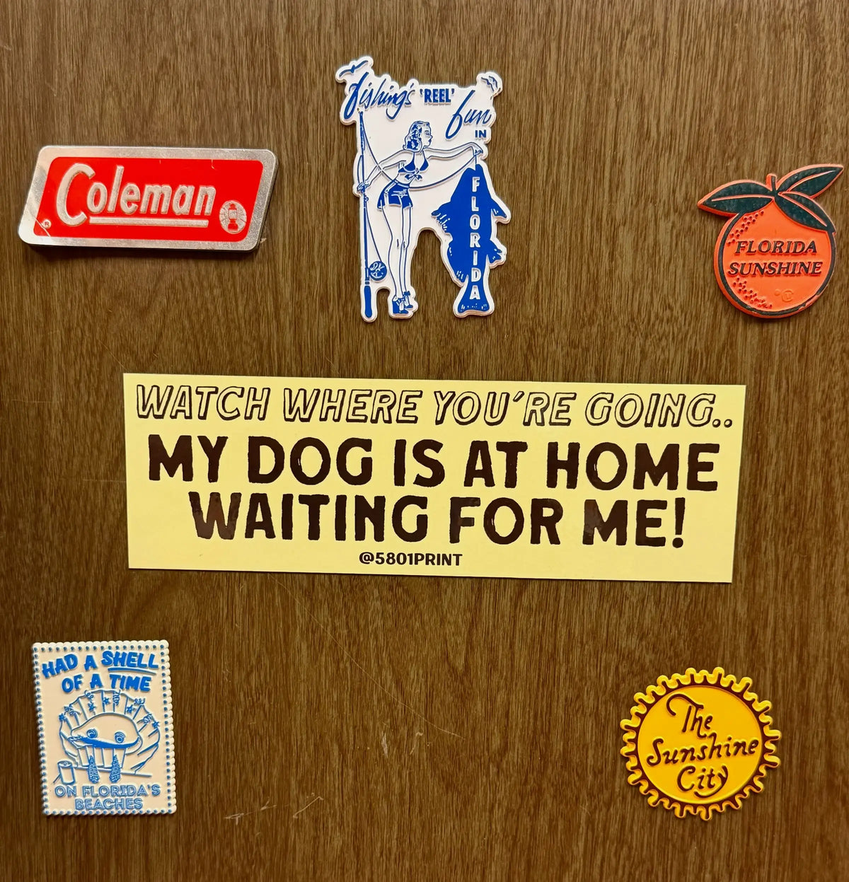 My Dog is at Home Bumper Sticker