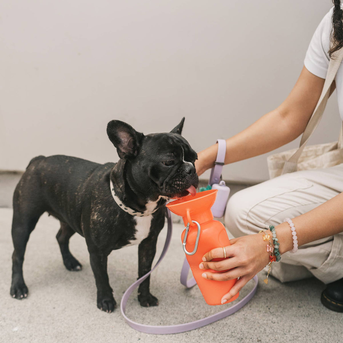 Dog Travel Water Bottle - 22oz Classic