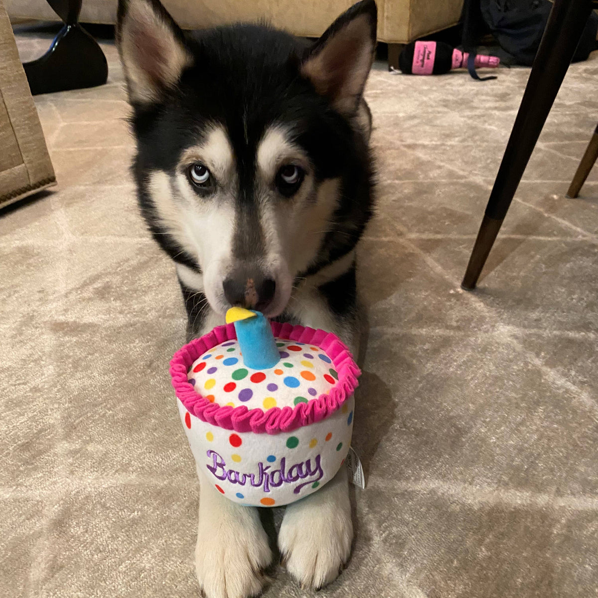 Happy Barkday Cake Dog Toy