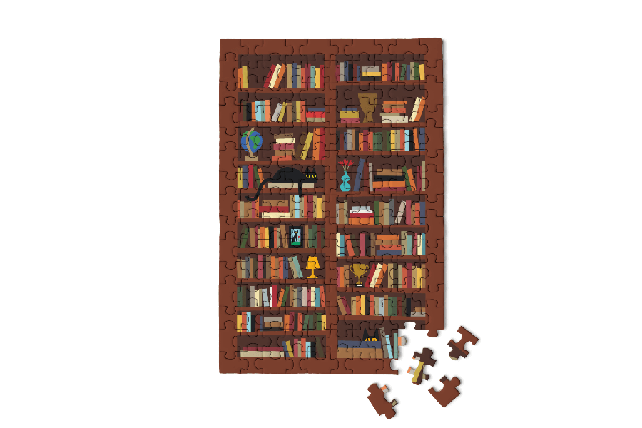 Bookcase Micro Puzzle