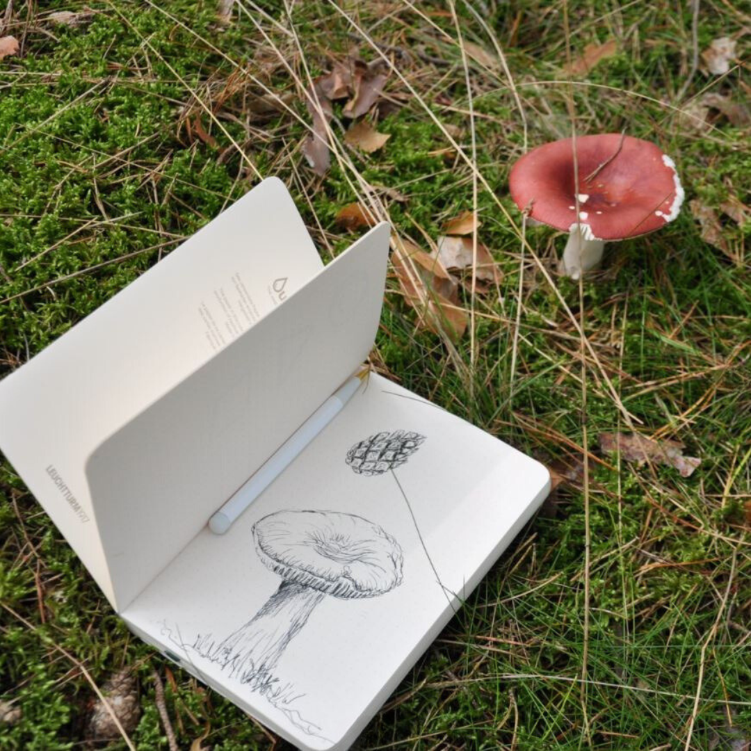 Outlines Edition - Notebooks