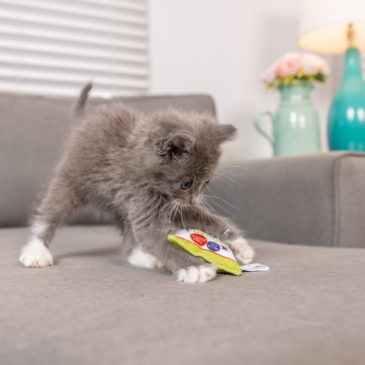 Kitty Pop Cat Toy