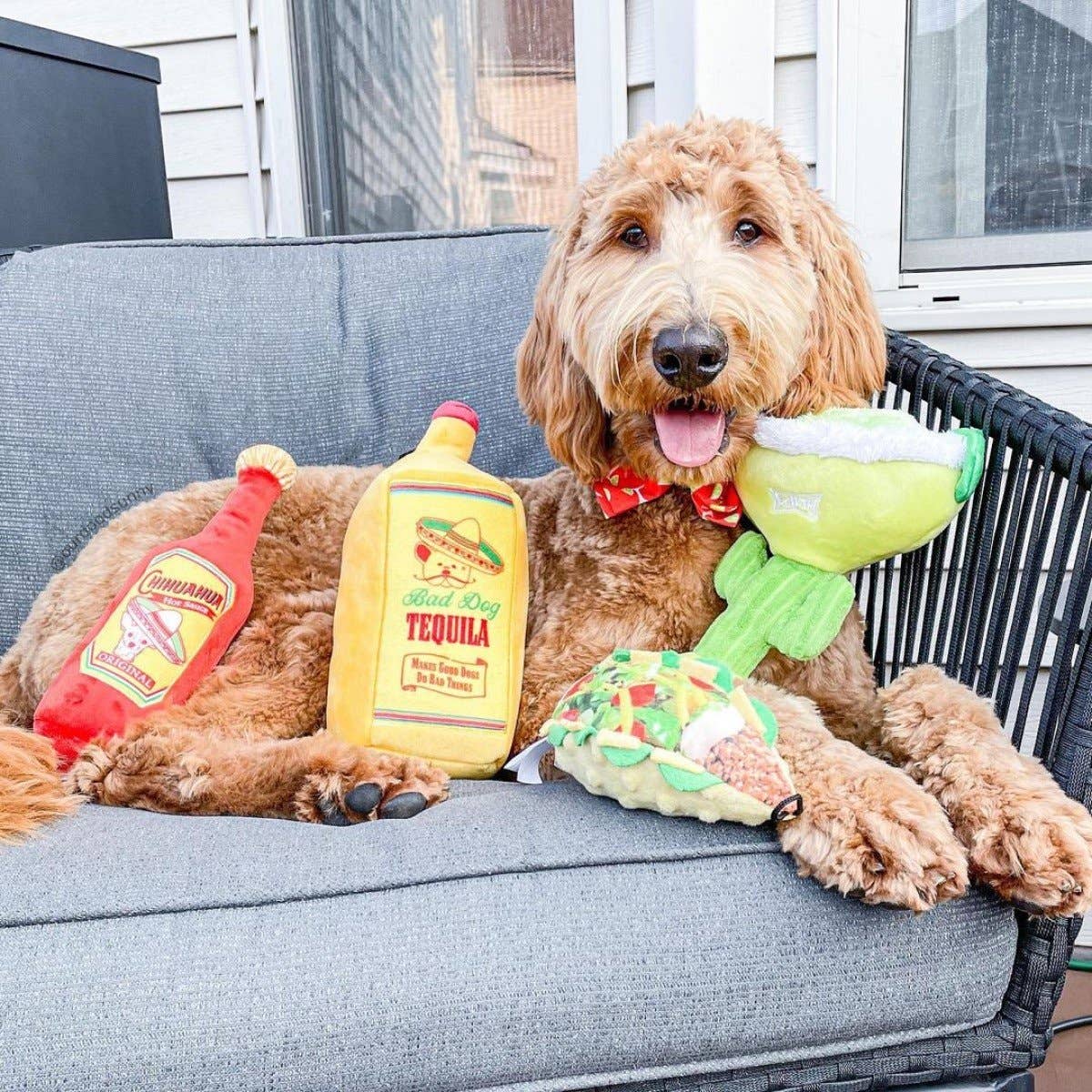 Taco Tuesday Dog Toy