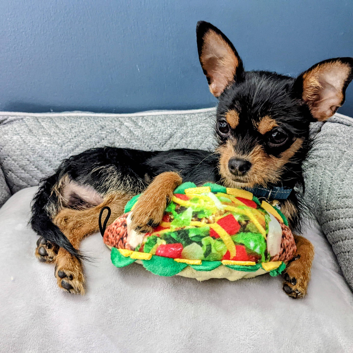 Taco Tuesday Dog Toy