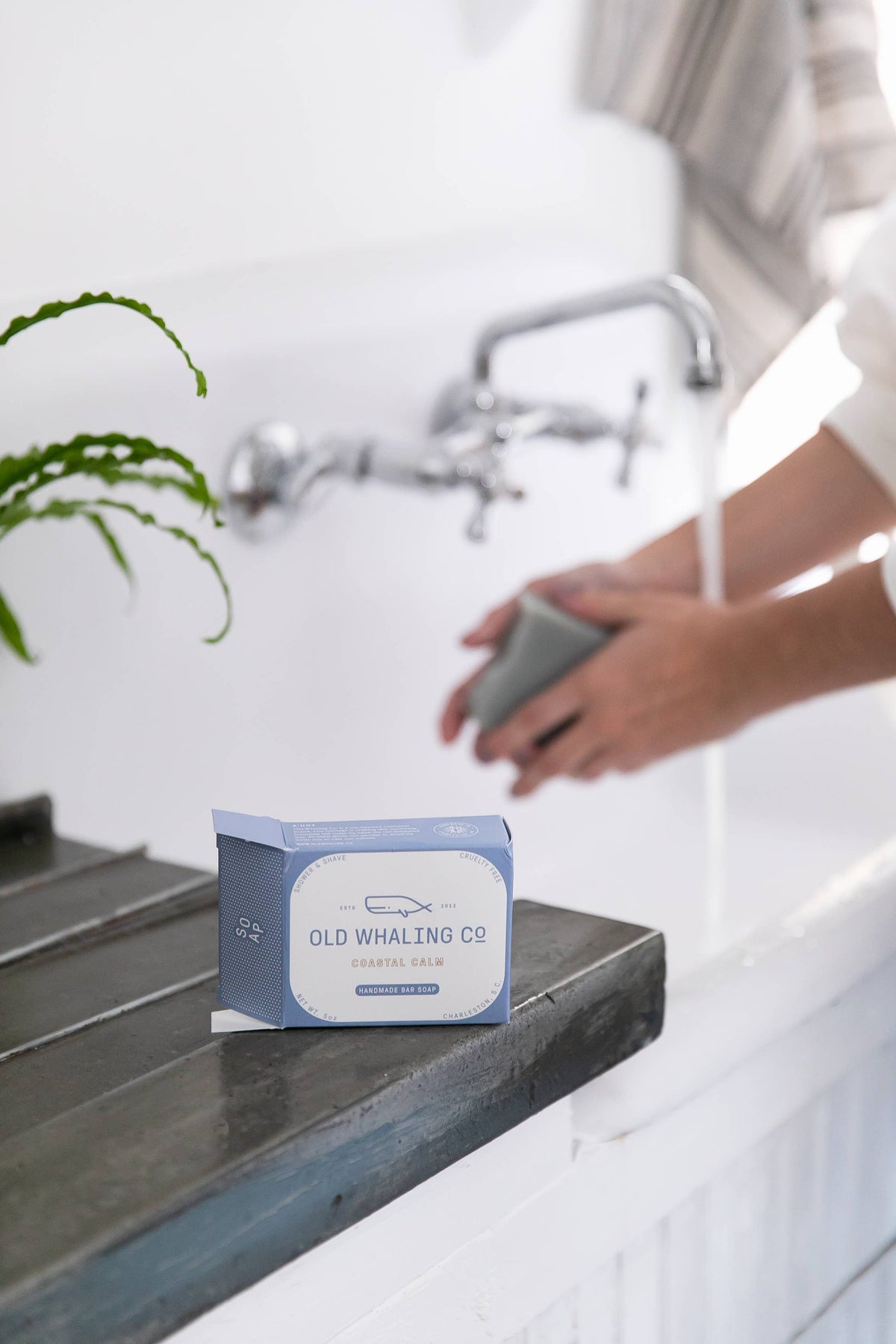 Coastal Calm Bar Soap