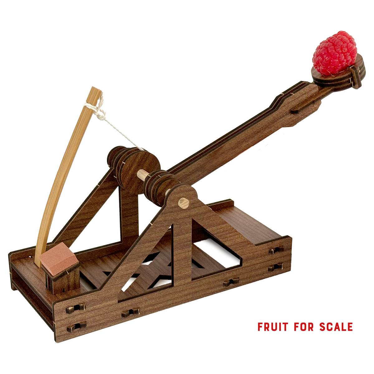 Mini Catapult : Wooden Engineering Model Building Kit