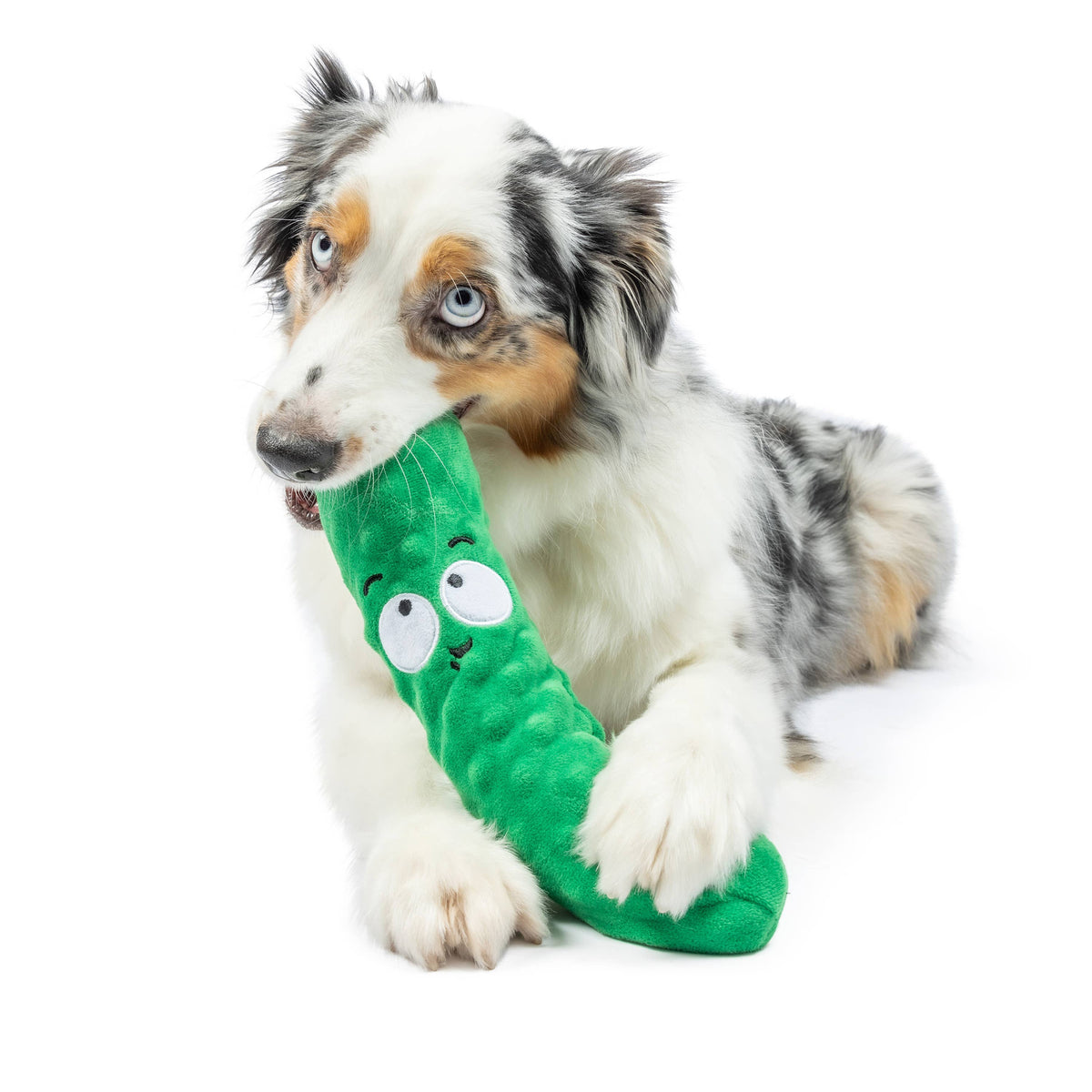 Fetchies® Dell Pickle Dog Toy