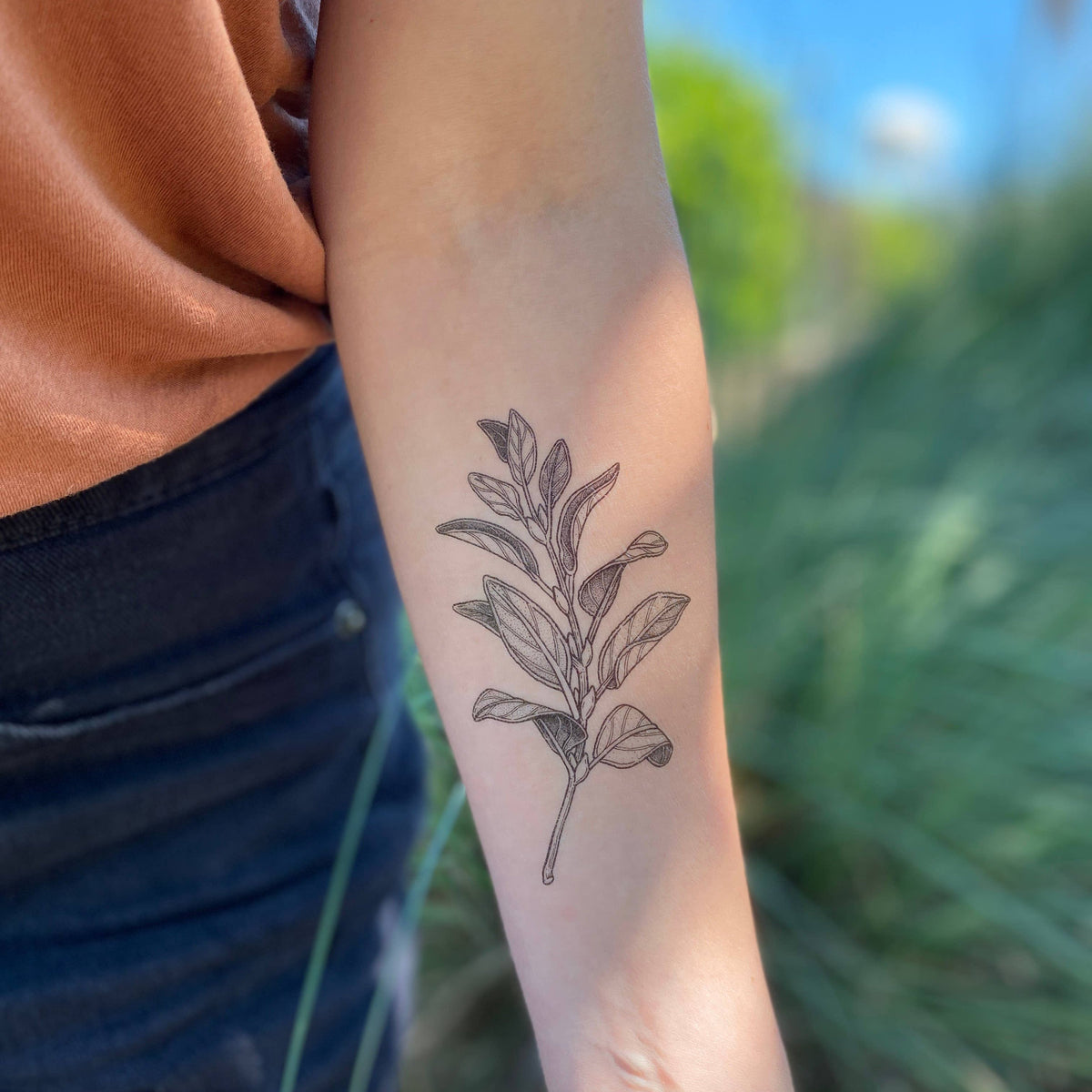 Sage Sprig Temporary Tattoo