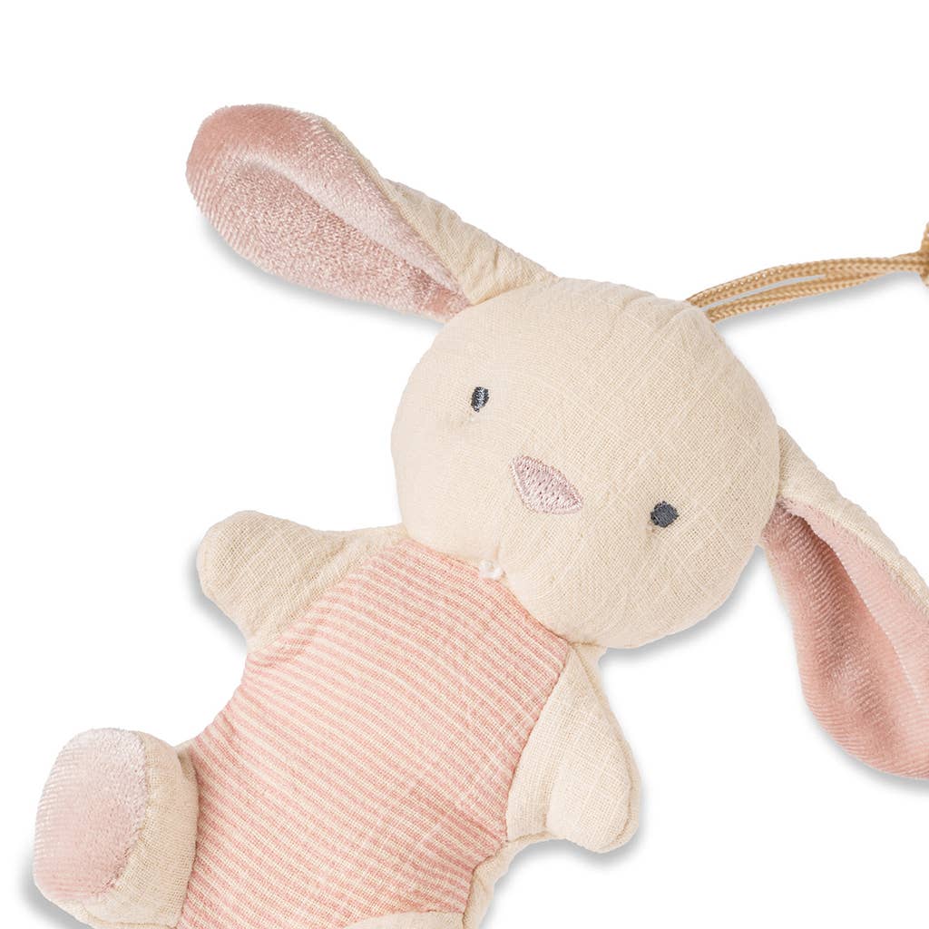Bitzy Pal Natural Rubber Pacifier &amp; Plush