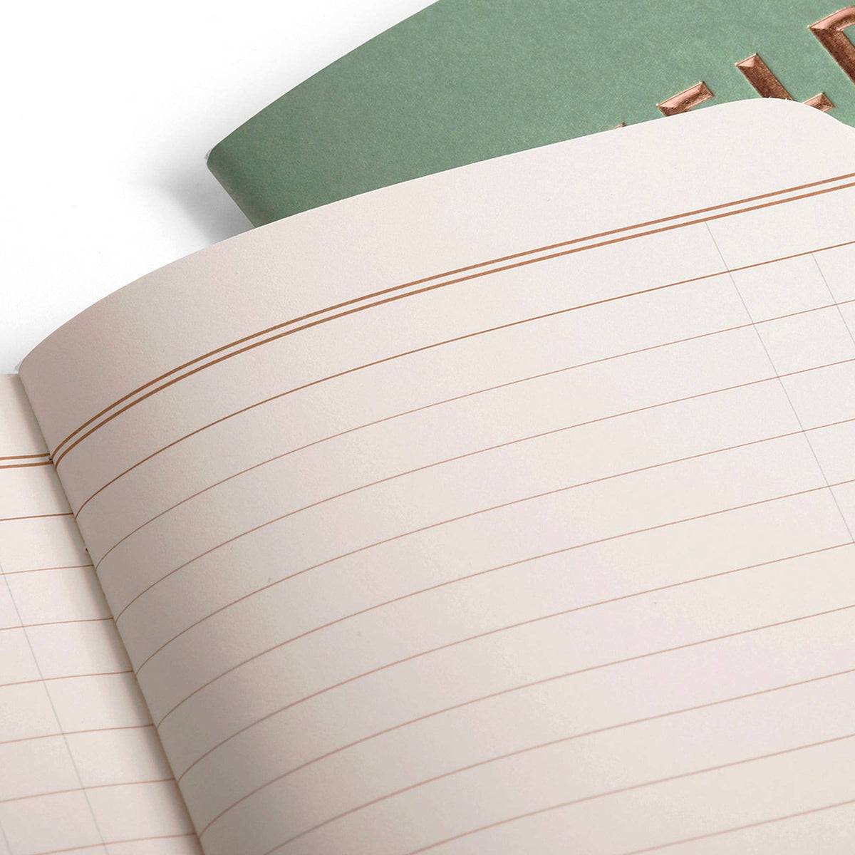 Lucky 3-Pack Notebooks