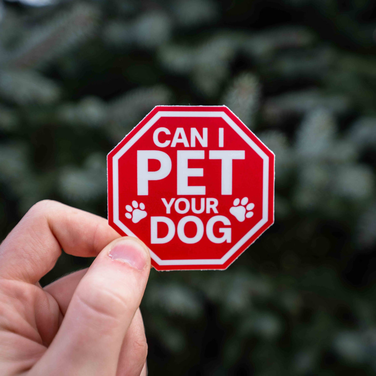 Stop Can I Pet Your Dog Sticker