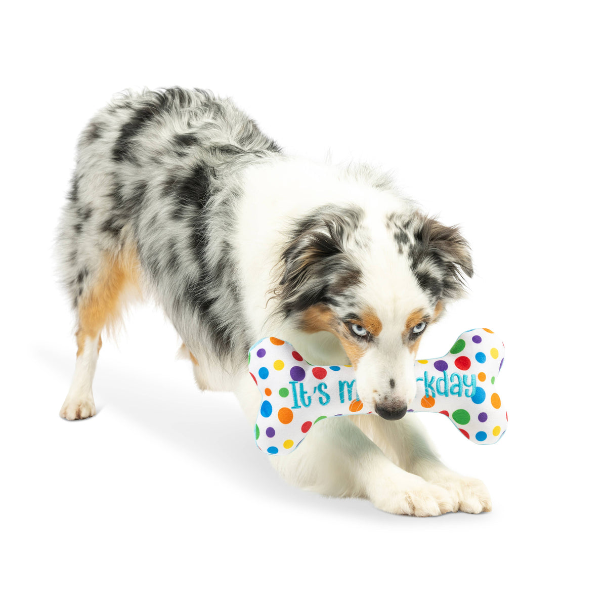 It&#39;s My Barkday Bone Dog Toy (Double Sided)