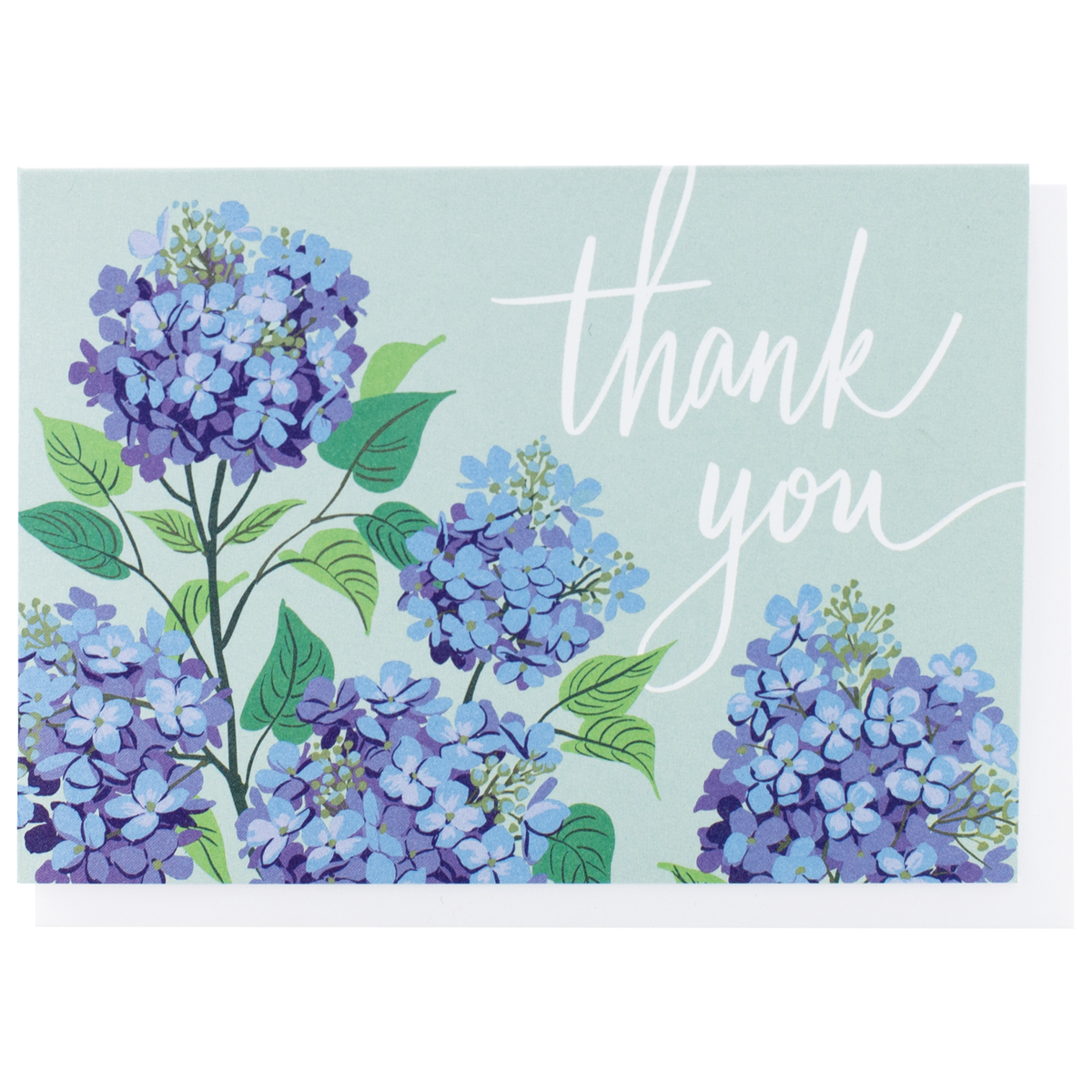 Hydrangea Thank You Note Cards
